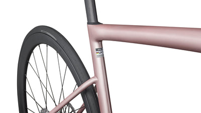 Tarmac SL8 Expert Rival eTap AXS Specialized 2025 Satin Champagne/Black Pearl #5
