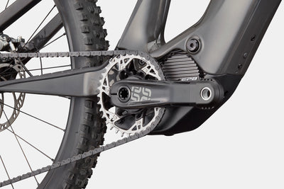 Moterra Neo Carbon SL 1 Cannondale 2025 Raw #5