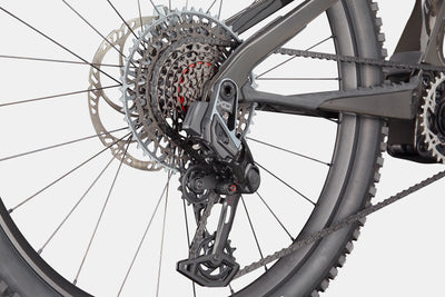 Moterra Neo Carbon SL 1 Cannondale 2025 Raw #6