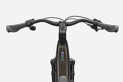 Tesoro Neo 2 Cannondale 2025 Obsidian #4