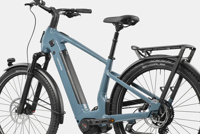 Tesoro Neo 2 Cannondale 2025 Storm Cloud #3