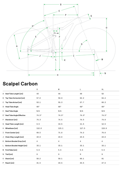 Scalpel 1 Lefty Cannondale 2024 Raw #9