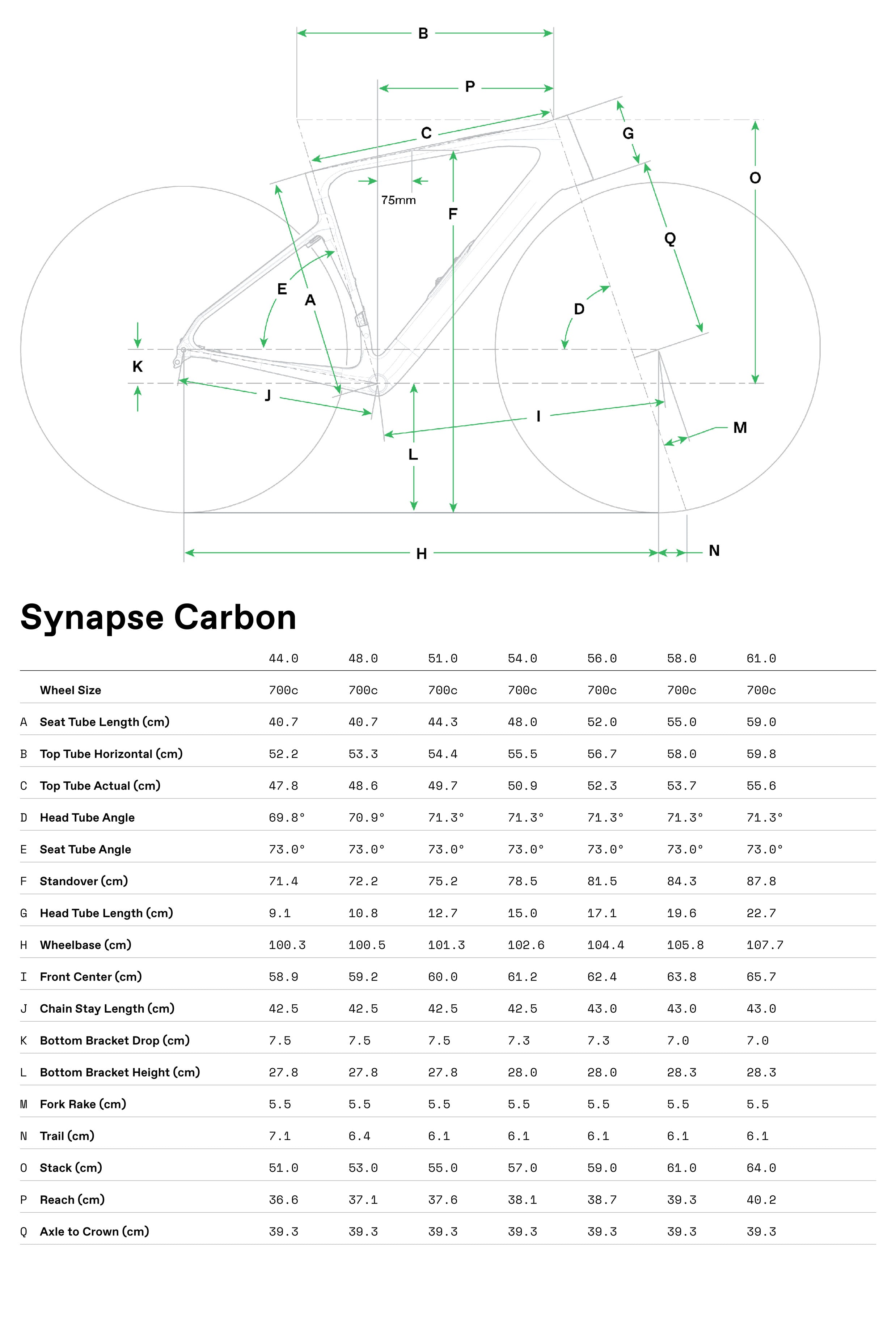 Synapse Carbon 4 Cannondale 2025 Chalk #8