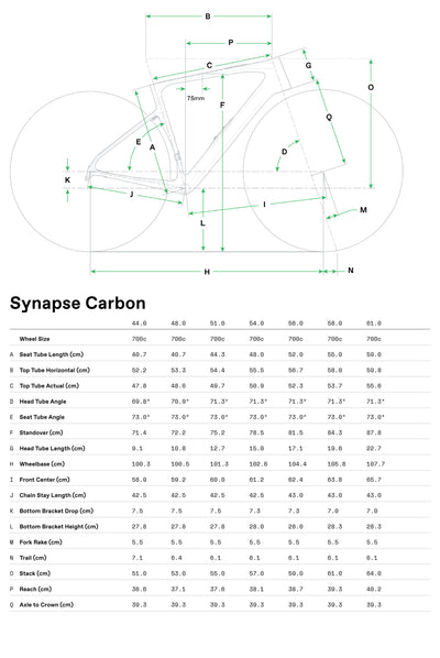 Synapse Carbon 4 Cannondale 2025 Chalk #8