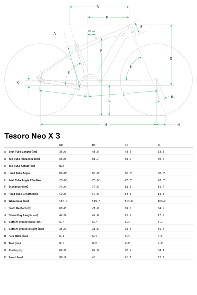 Tesoro Neo X 3 Cannondale 2024 Mercury #7